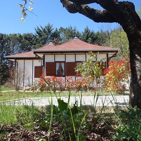 B&B The Lodge 波坦察 外观 照片
