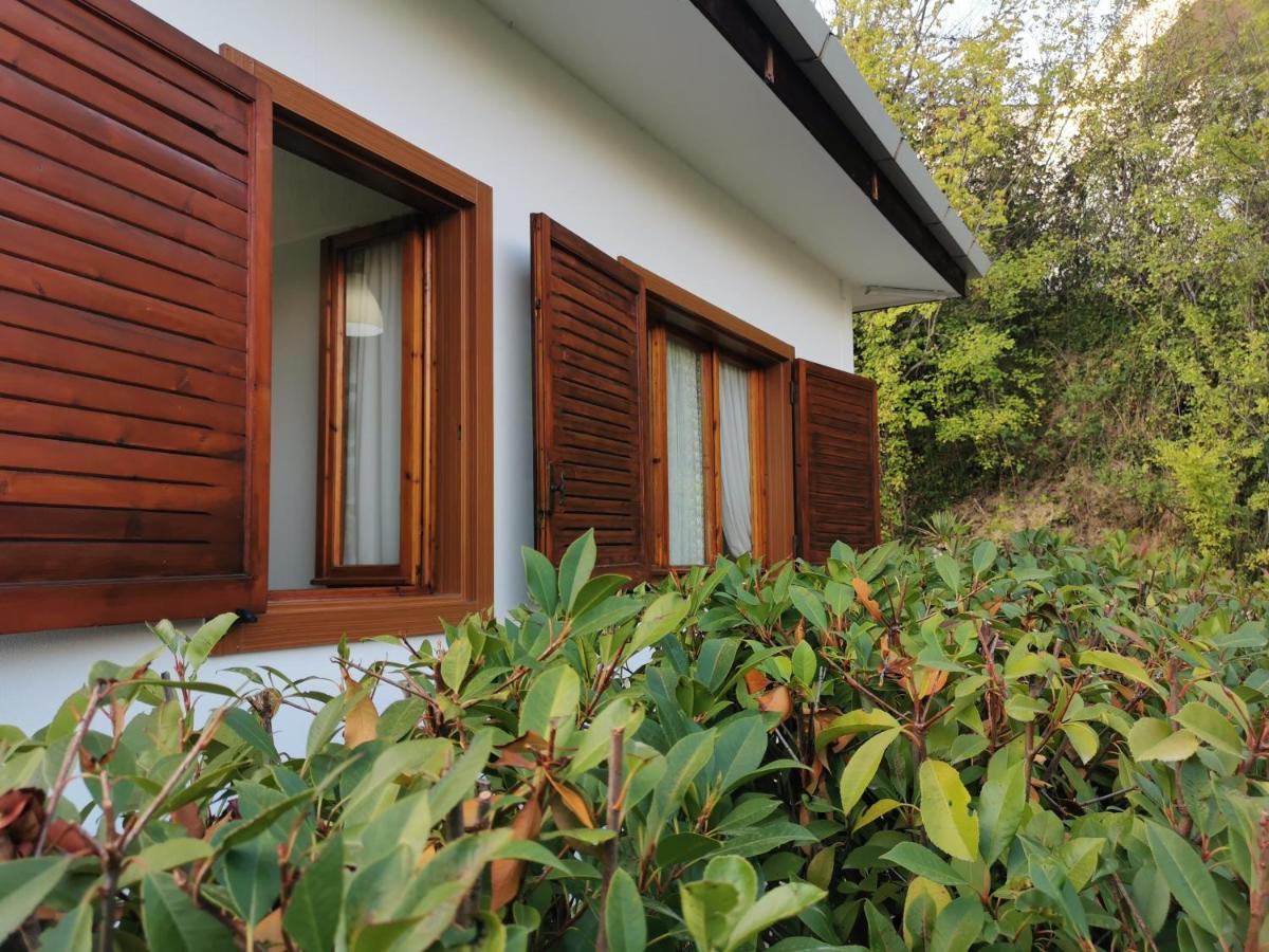 B&B The Lodge 波坦察 外观 照片