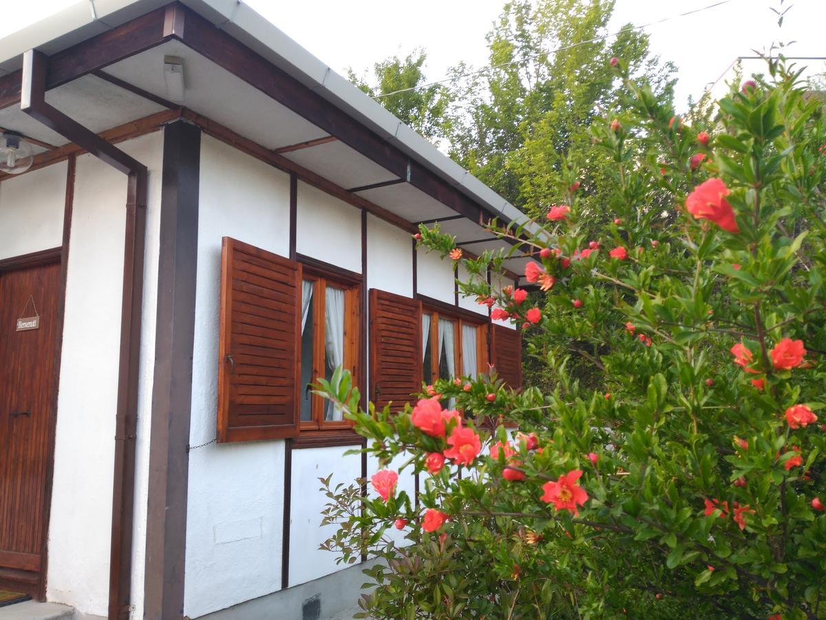 B&B The Lodge 波坦察 外观 照片