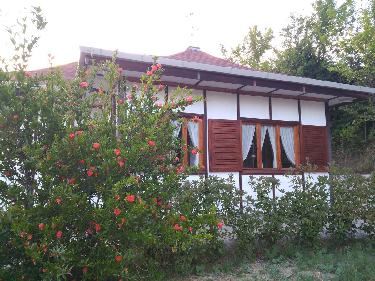 B&B The Lodge 波坦察 外观 照片